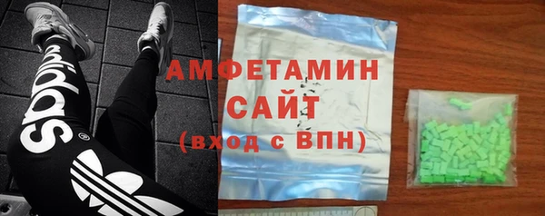прущие грибы Балахна