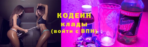 прущие грибы Балахна