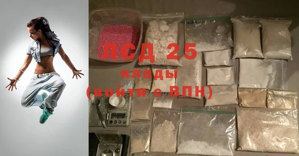 прущие грибы Балахна