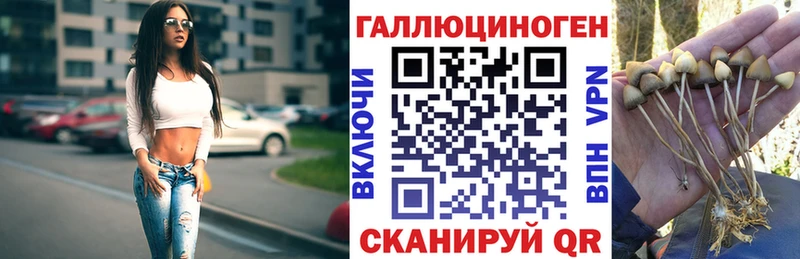 Псилоцибиновые грибы мицелий  Гай 